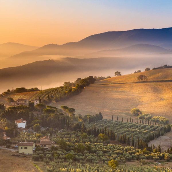 Afternoon in Tuscany